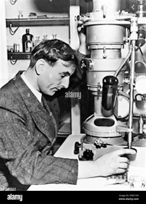 ernst august friedrich ruska|who invented the electron microscope.